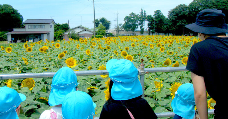 ステラ千住保育園