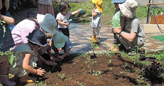 東京賢治シュタイナー学校つめくさ保育園