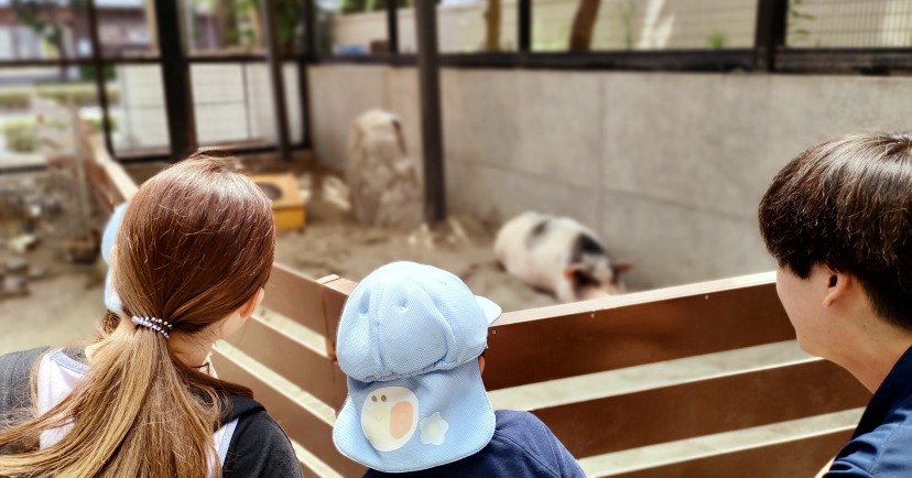 カメリアキッズ国領園