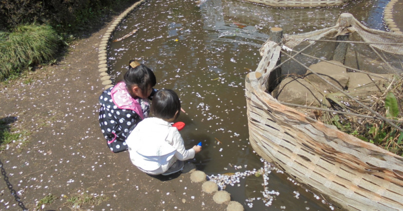 幼児保育施設どんぐりころころ