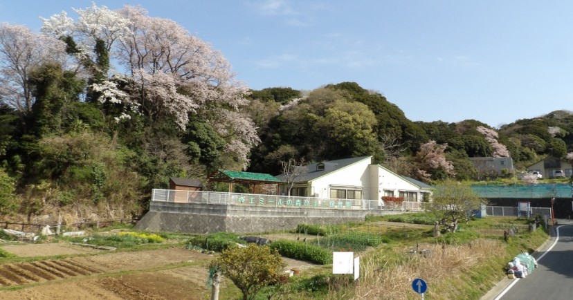 エミールの森ひよこ保育園