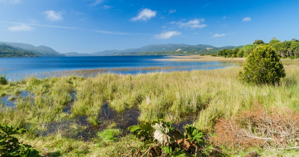 Parque Nacional Chiloé