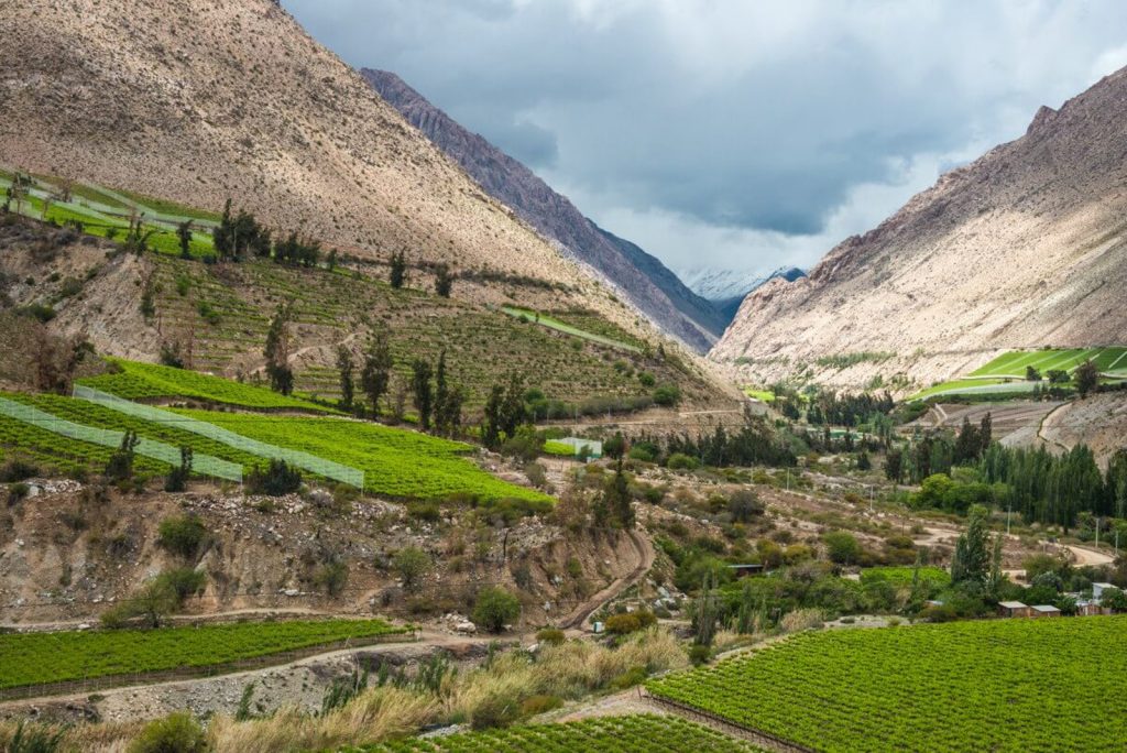 tours valle del elqui