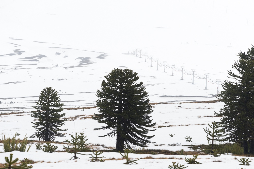 south of Chile in winter