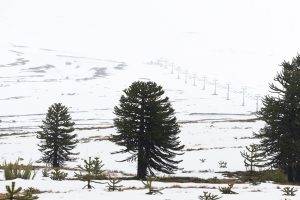 Südchile im Winter: 4 Städte, die Sie unbedingt besuchen müssen