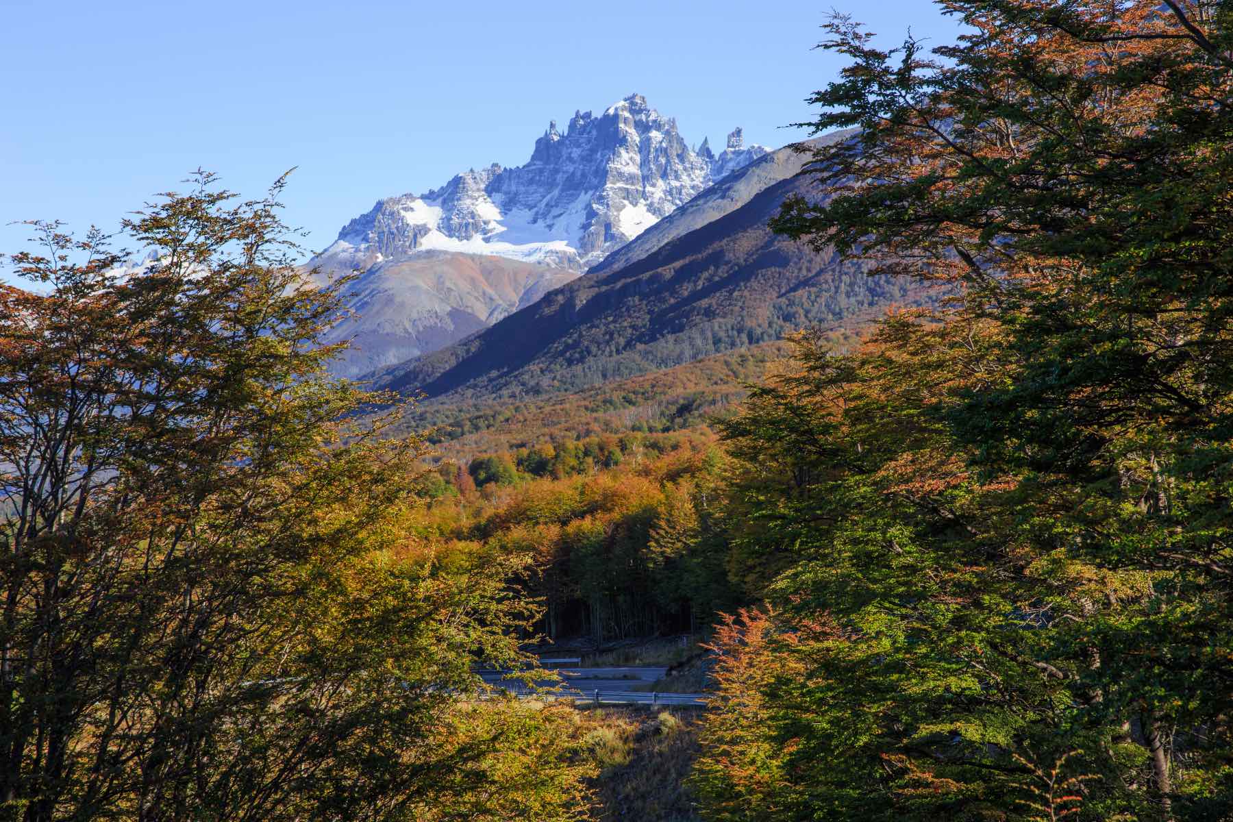 Senderismo Patagonia: Cerro Castillo