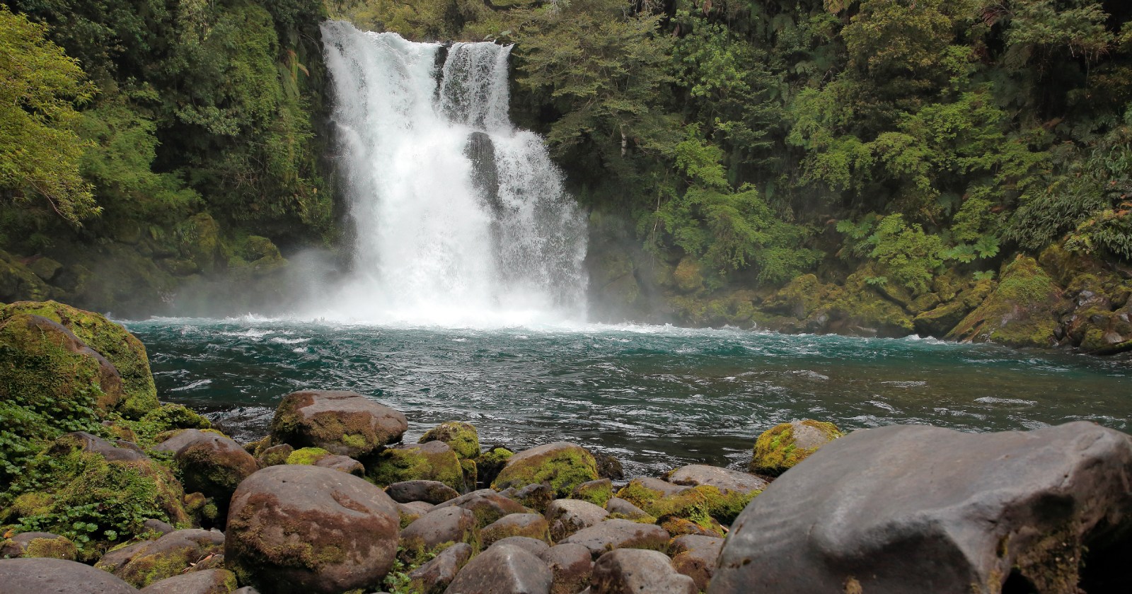 Patagonia chilena bosques