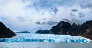 Drachen in Chile? Lernen Sie dieses geheimnisvolle Insekt in Patagonien kennen