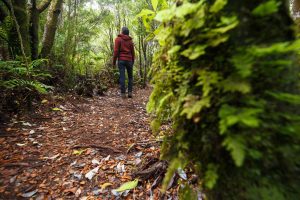 Three places full of mysteries on Chiloé that you should know about