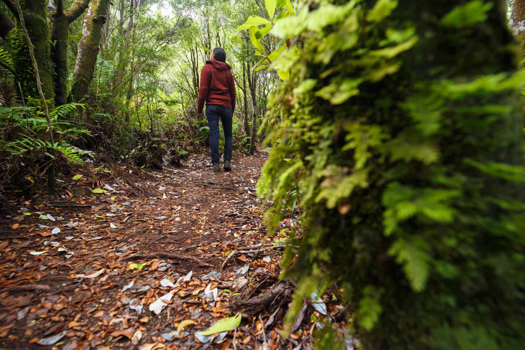 mysteries on Chiloé