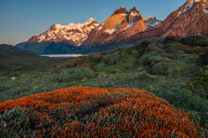 Primavera en Chile y cuatro paisajes para disfrutarla