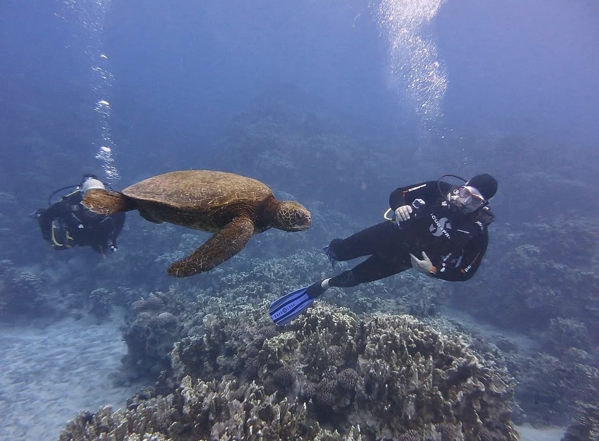 buceo en Rapa Nui