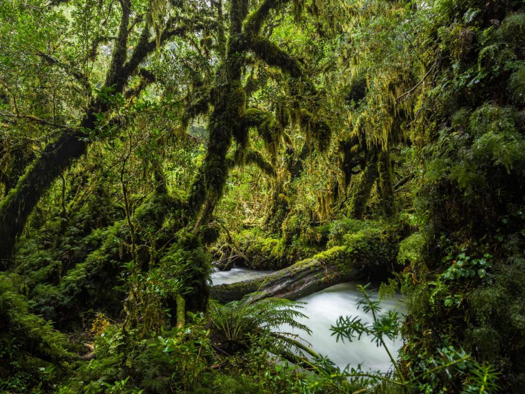 Carretera Austral de Chile