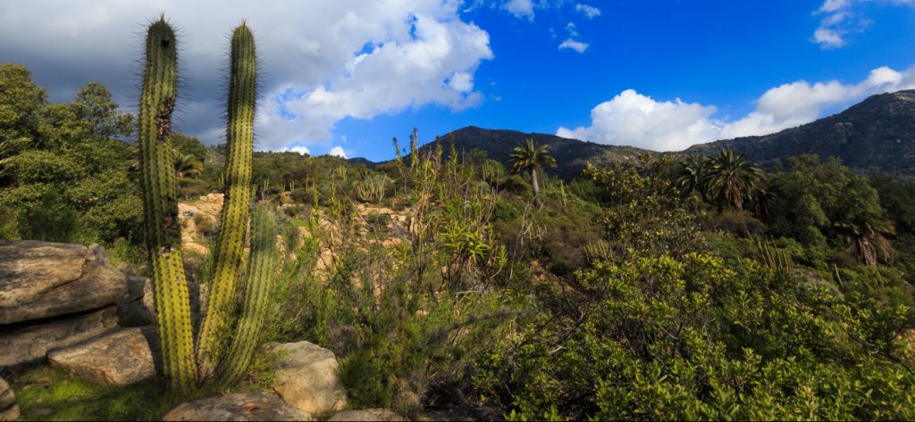 Parque Nacional la Campana