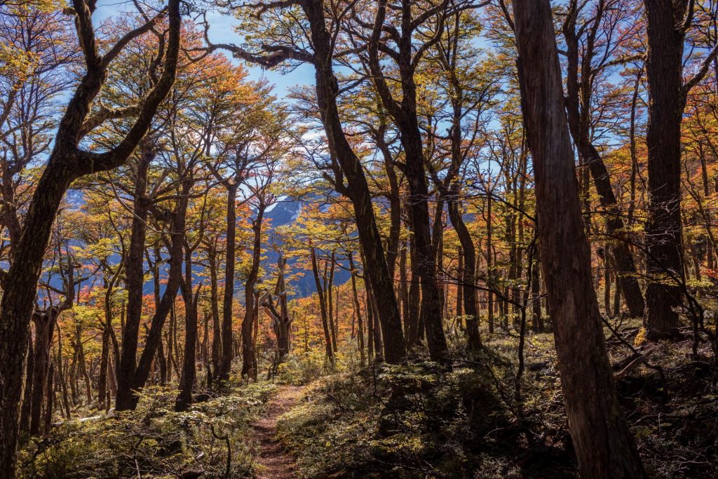 Parque Patagonia