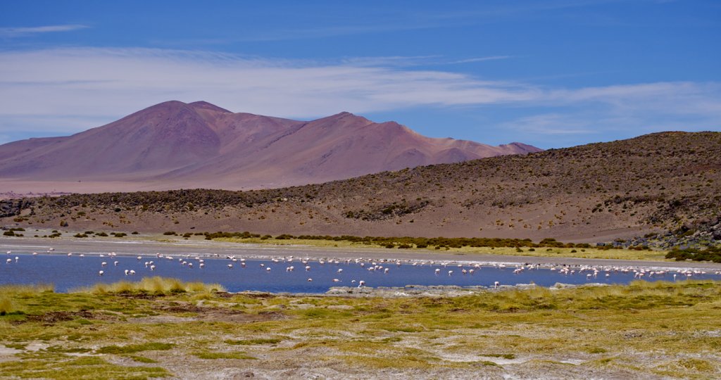 Reserva Nacional Los Flamencos