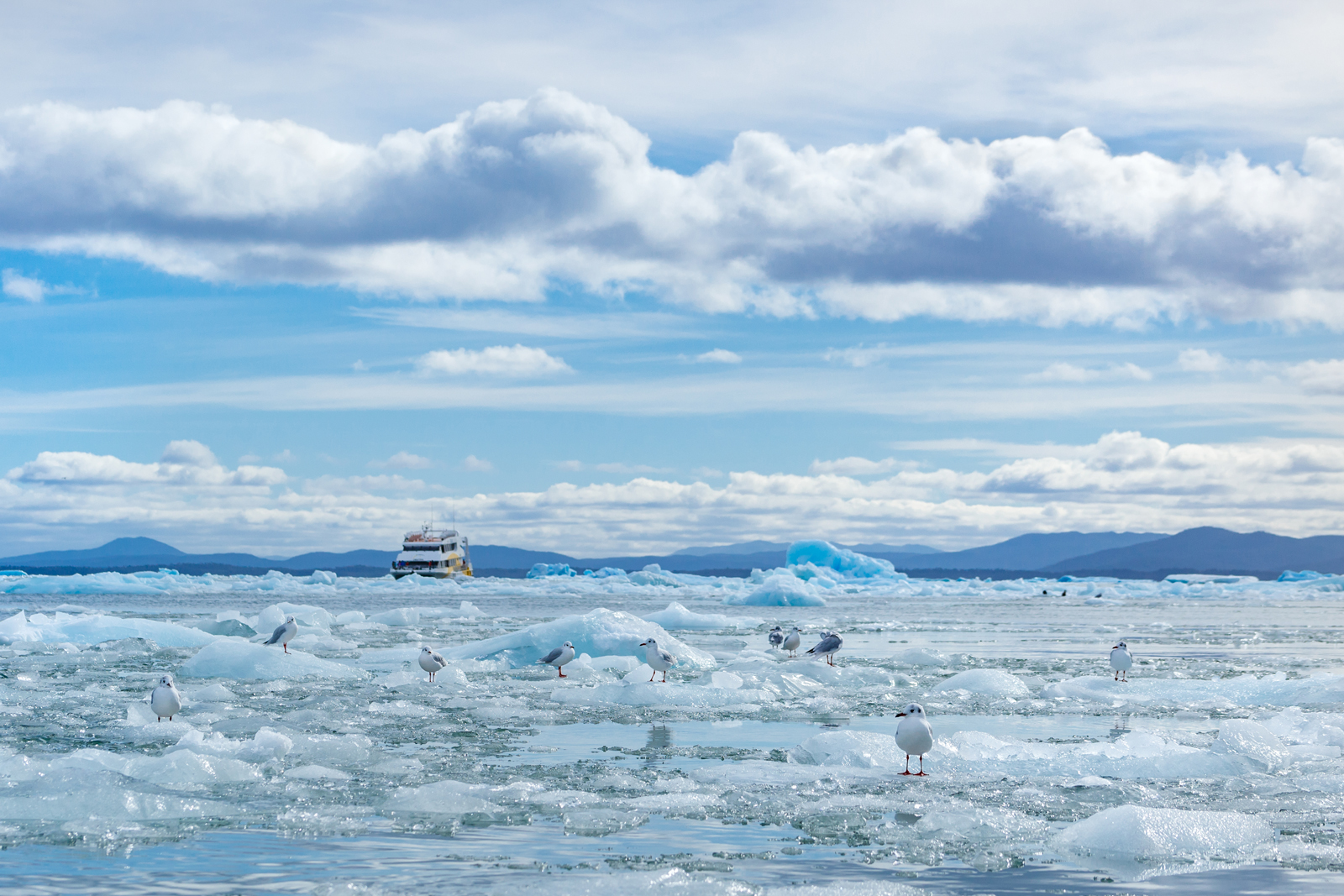 Cruceros Patagónicos