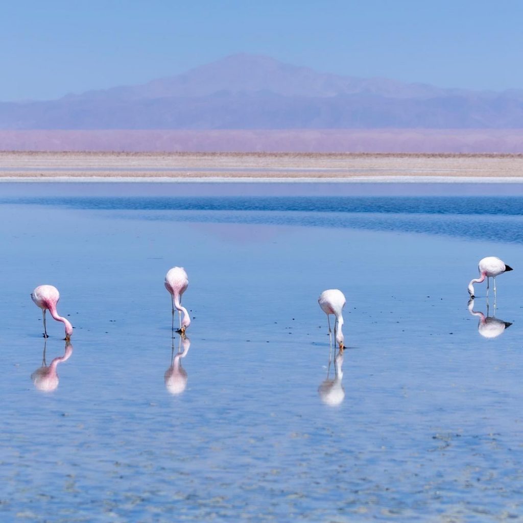 Salar de Atacama