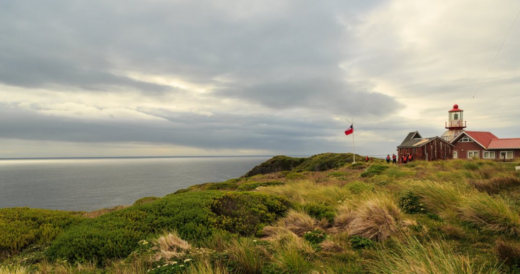 parque nacional cabo de hornos