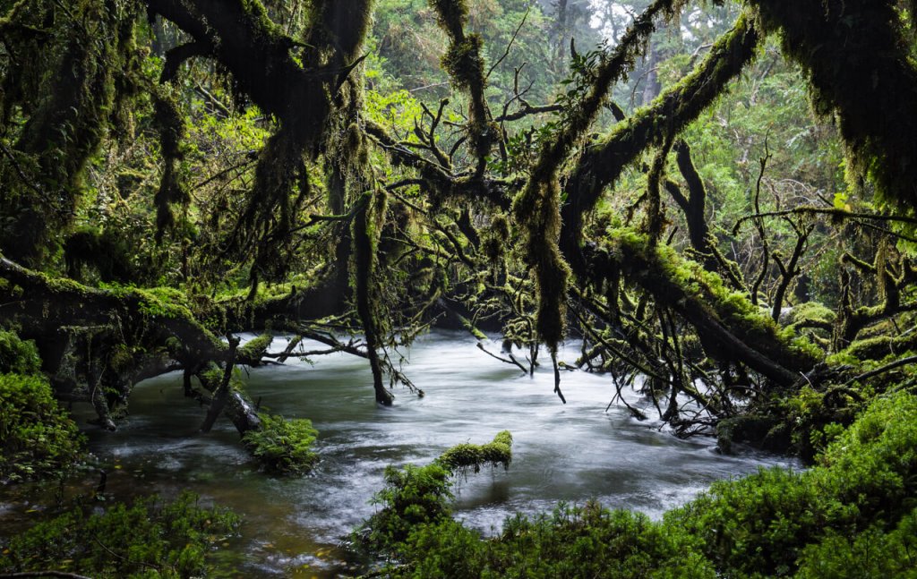 carretera austral sur tour