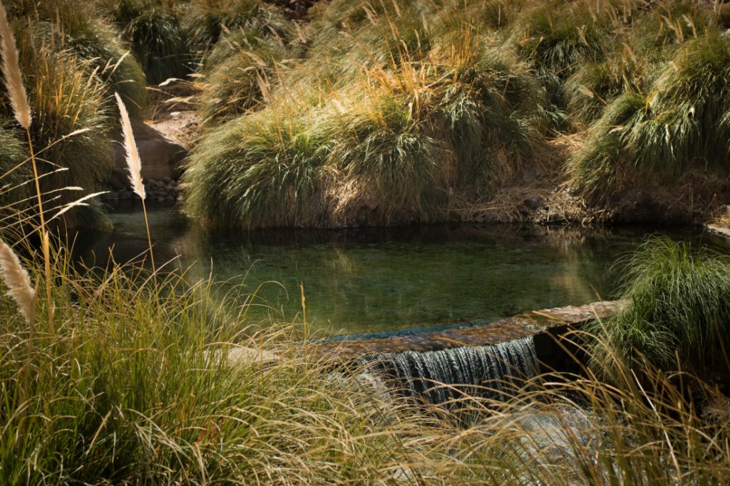 Termas de Puritama