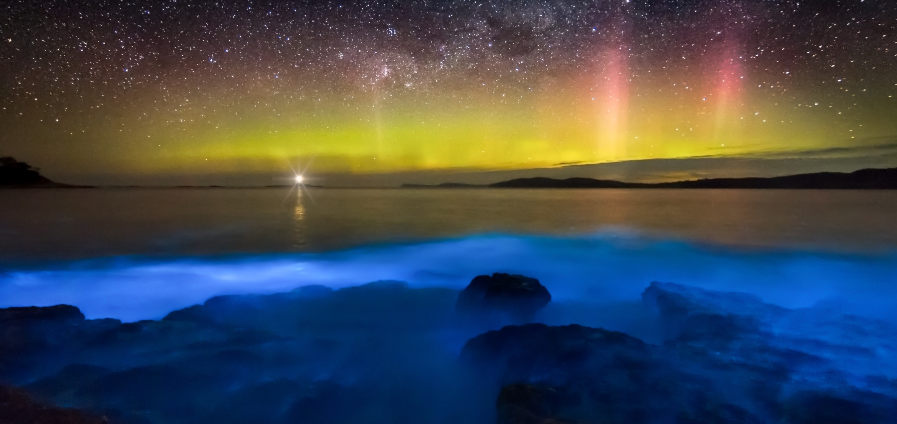 playa de medusas bioluminiscentes