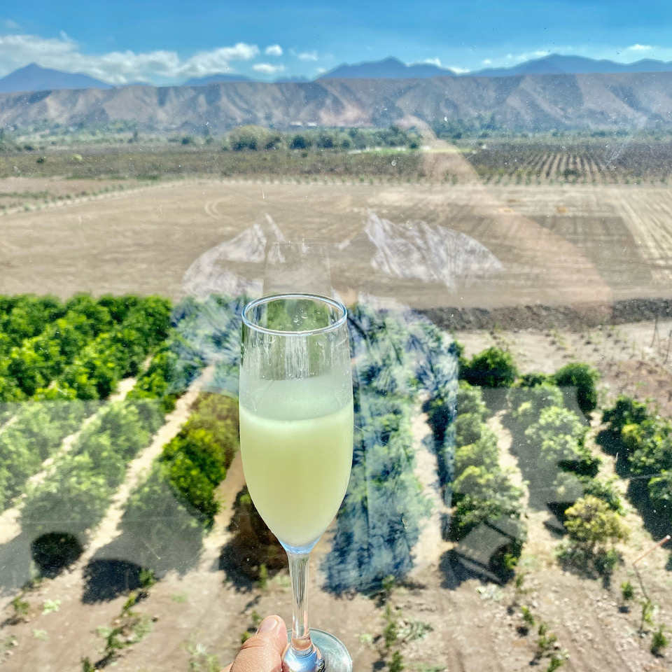 HAPPY PISCO DAY! LEARN 4 NOVEL PREPARATIONS - Chile Travel