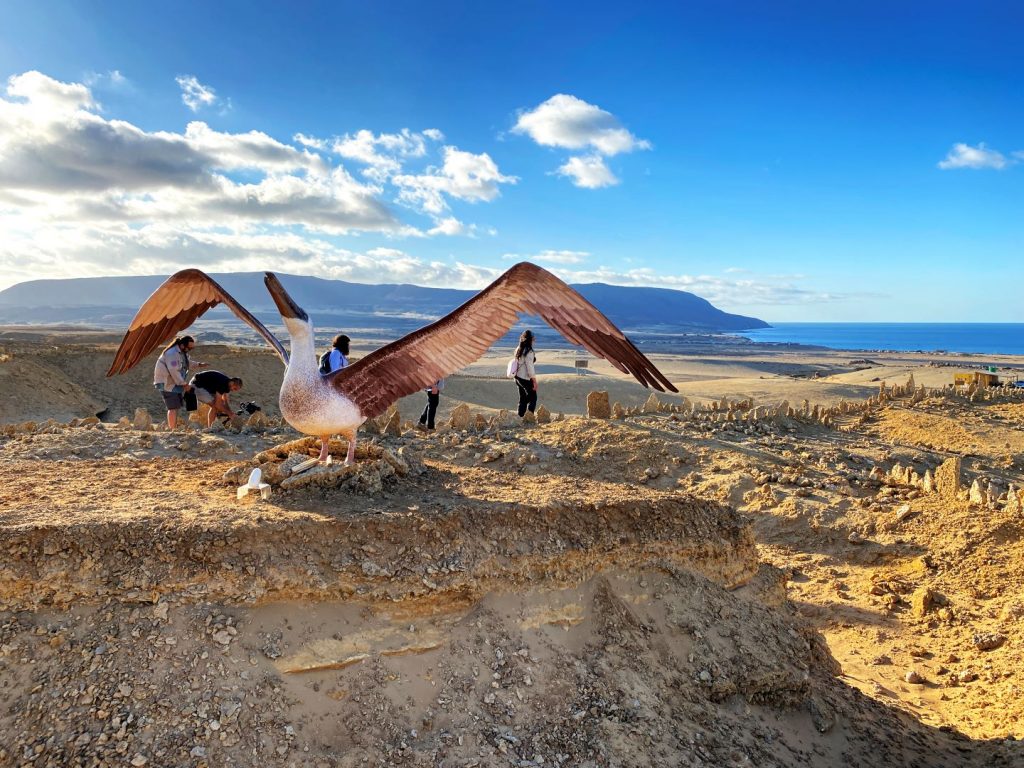 Aves Atacama