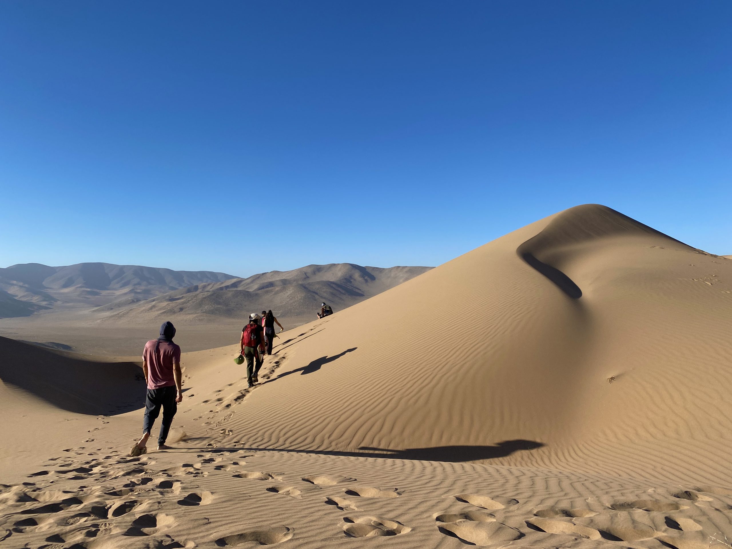 personas caminando en las dunas