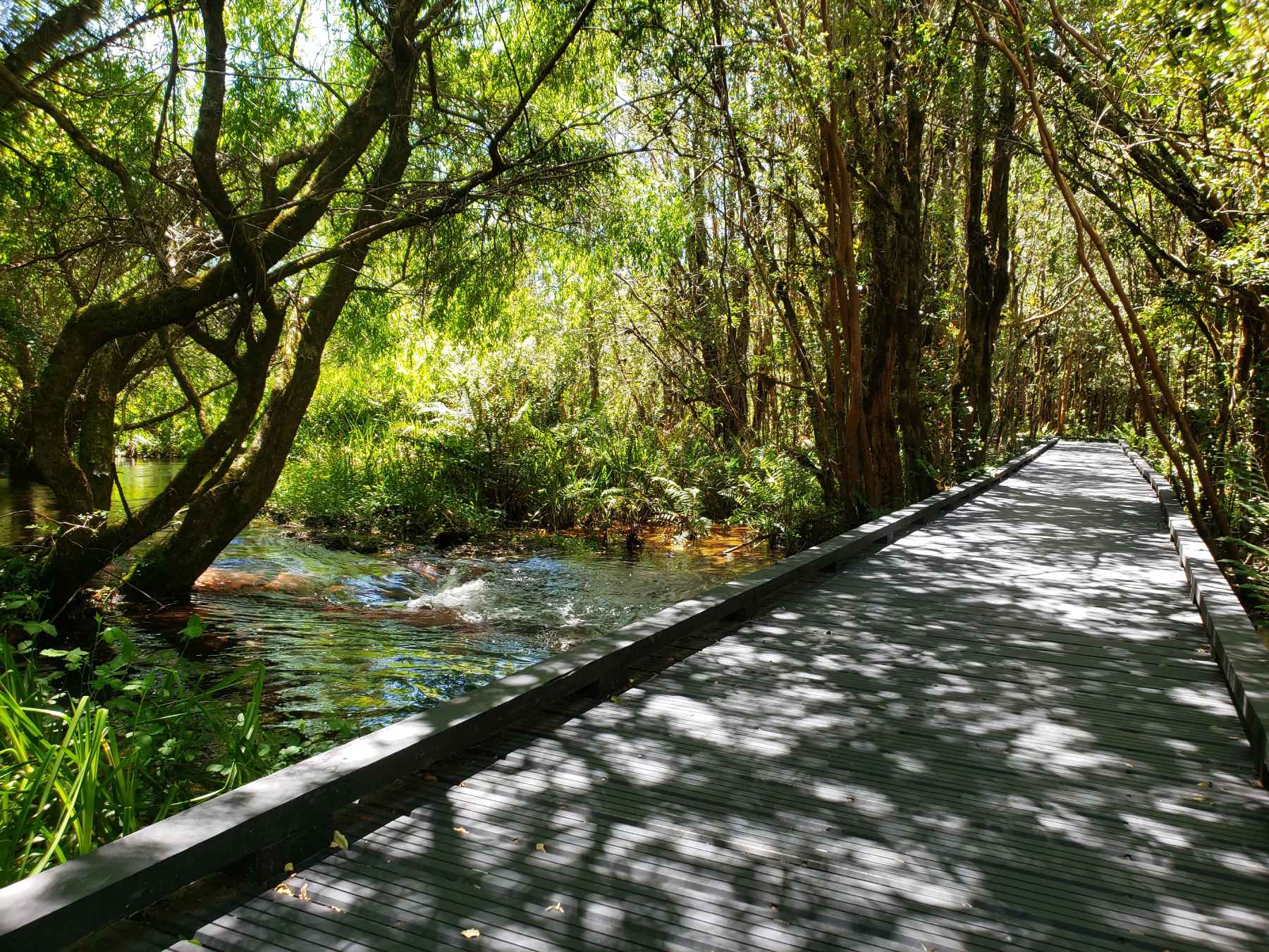 Termas del Sol - Foto: Servicios Turísticos Sernatur