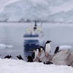 Chilean Antarctic