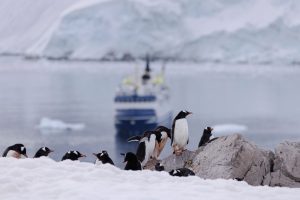 Chilean Antarctic