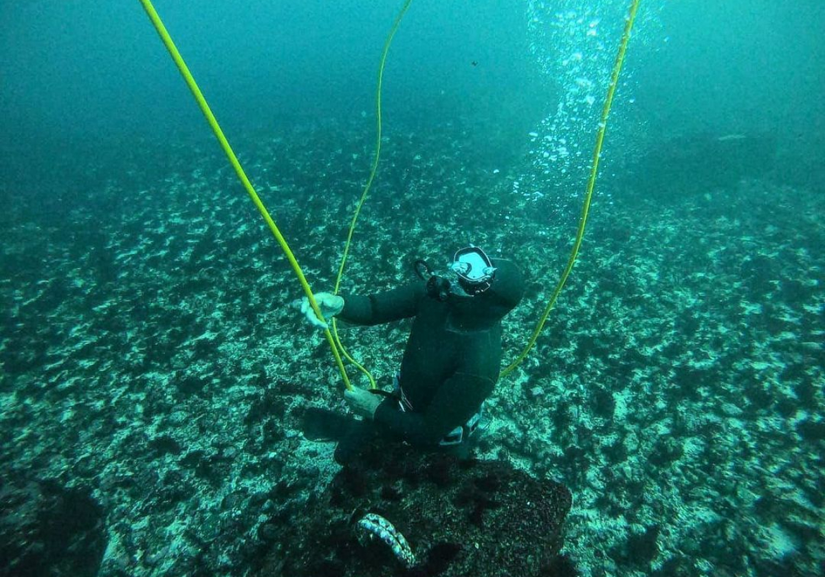 diving in Chile