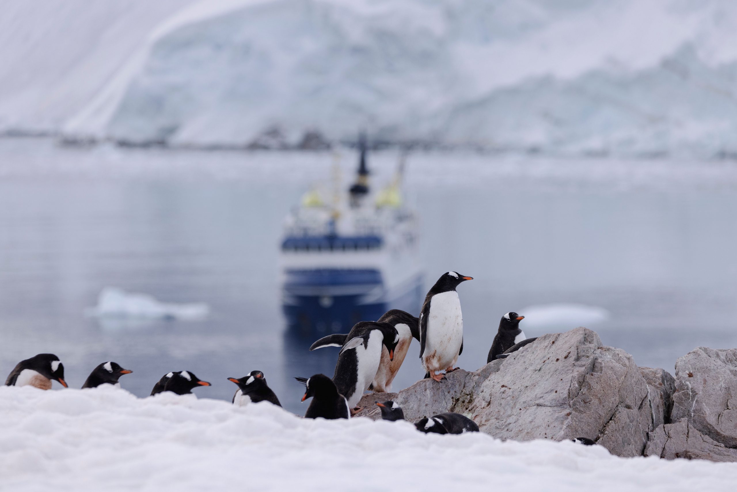 Antártica chilena