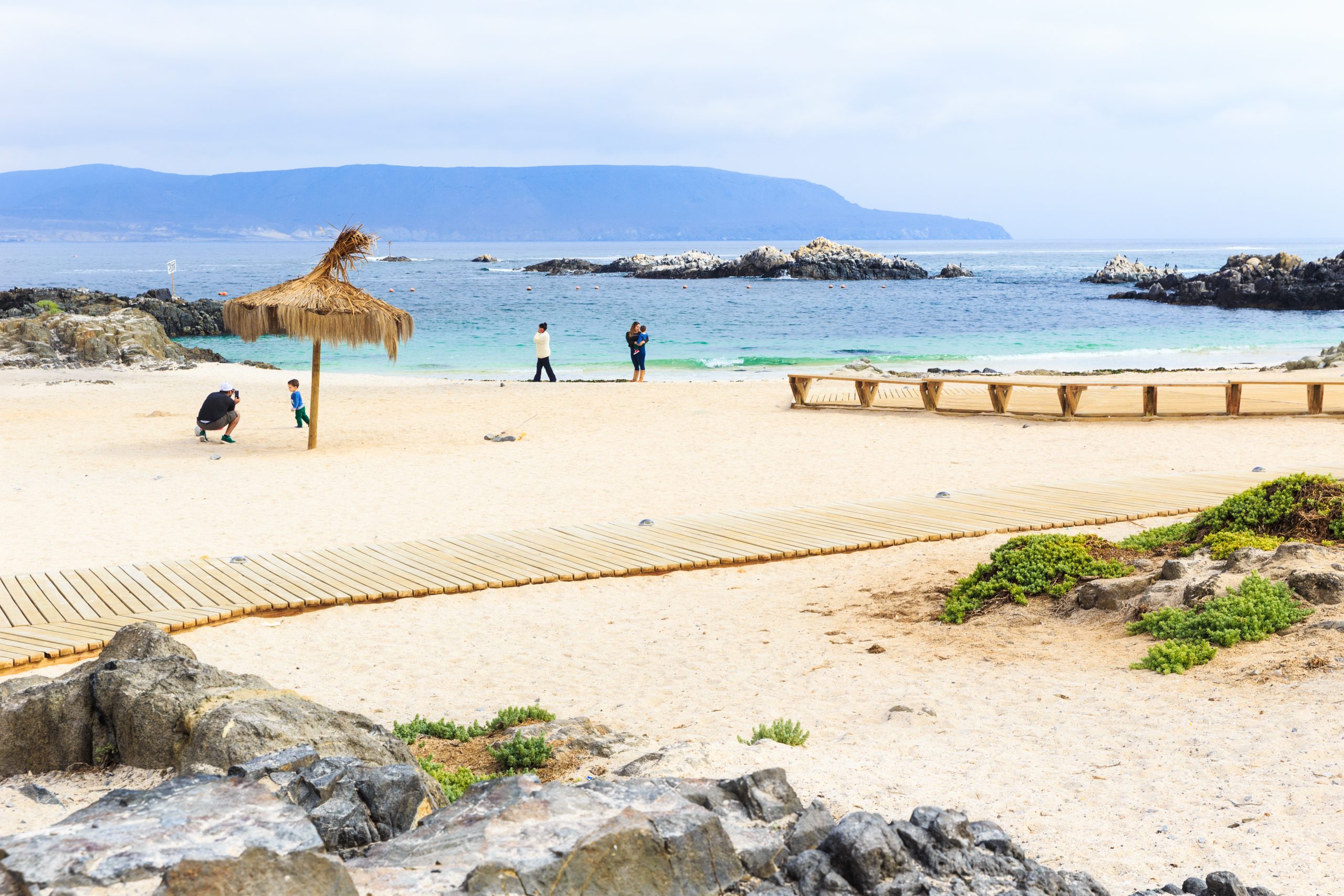 Las Salinas Beach in Chile