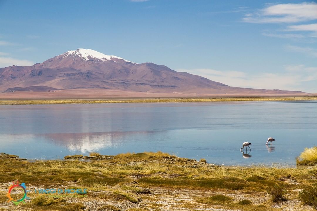 Chilean Wetlands