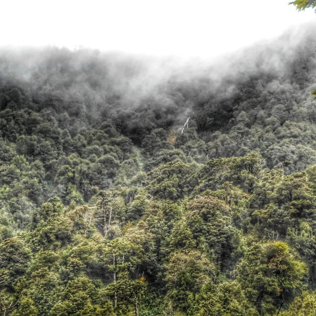 otoño Parques Nacionales