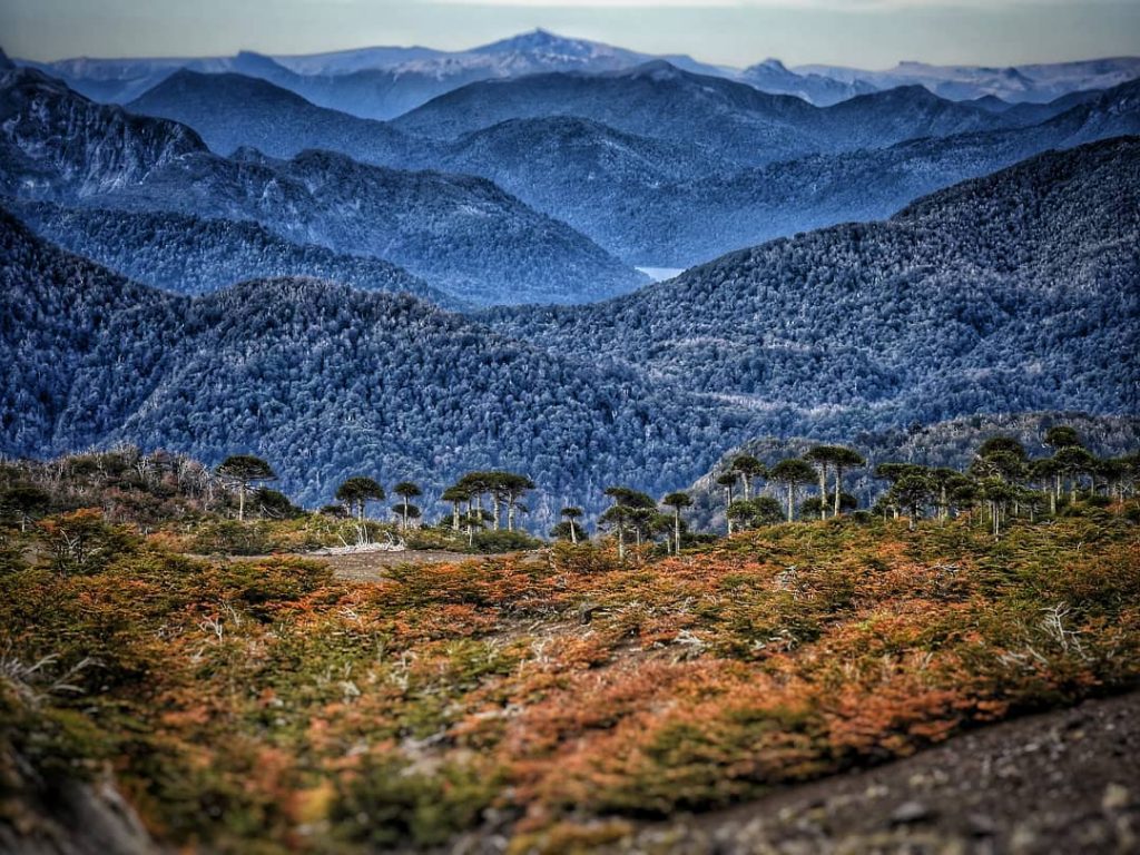 otoño Parques Nacionales