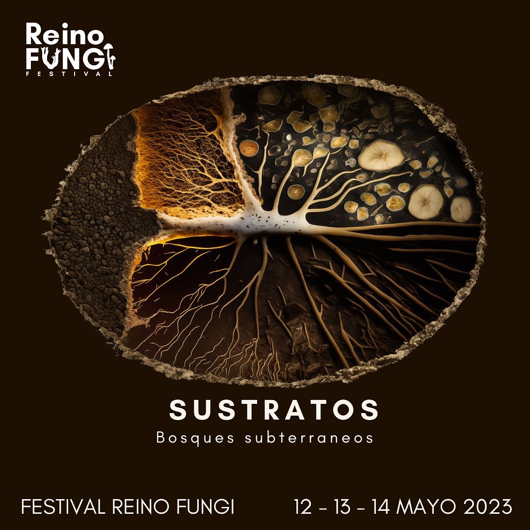 Festival Reino Fungi