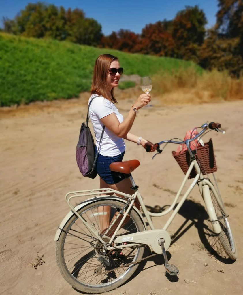 Tours en bicicleta viñedos