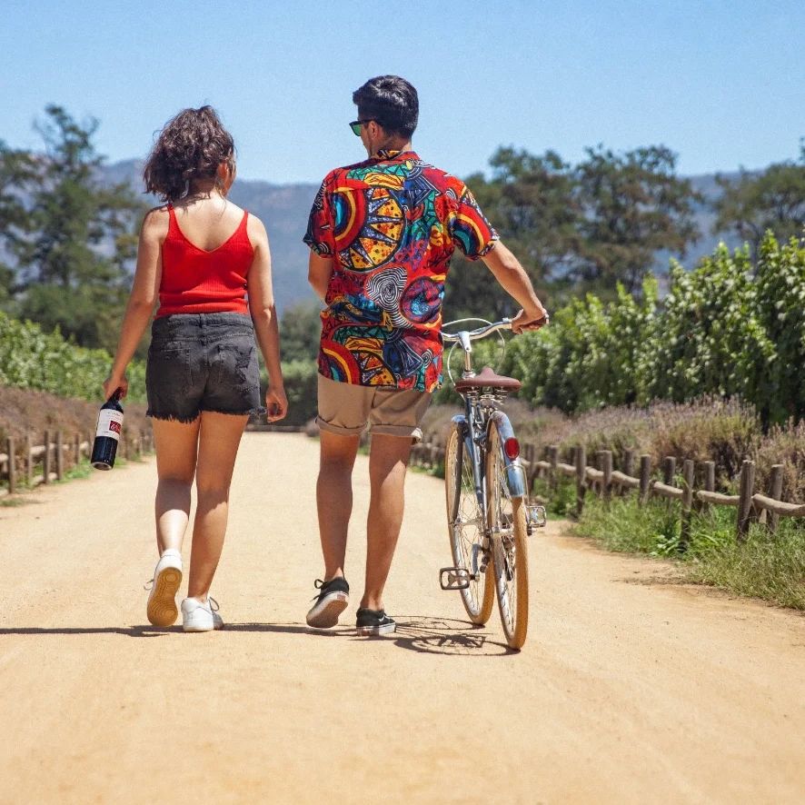 Tours en bicicleta viñedos