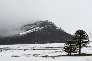 eßen Sie die schneereiche Jahreszeit in Corralco und im Süden Chiles