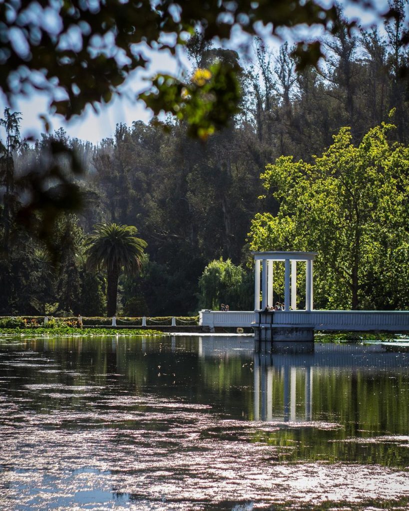 jardines botánicos chile