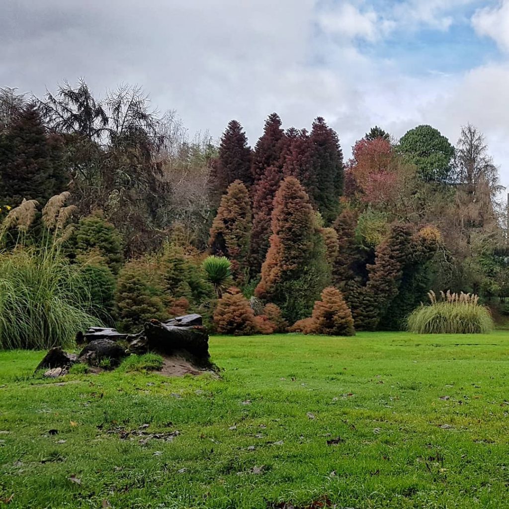 jardines botánicos Chile