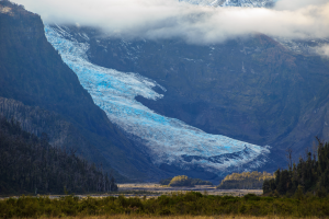 Pumalín-Nationalpark: Naturschutz als Impuls für die lokale Entwicklung