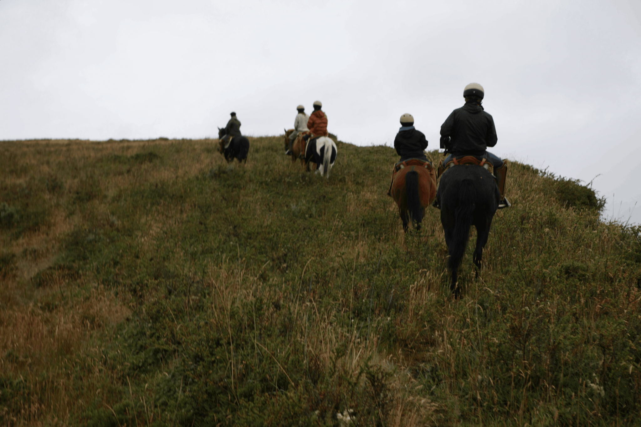 Reiten in Chiles Patagonien