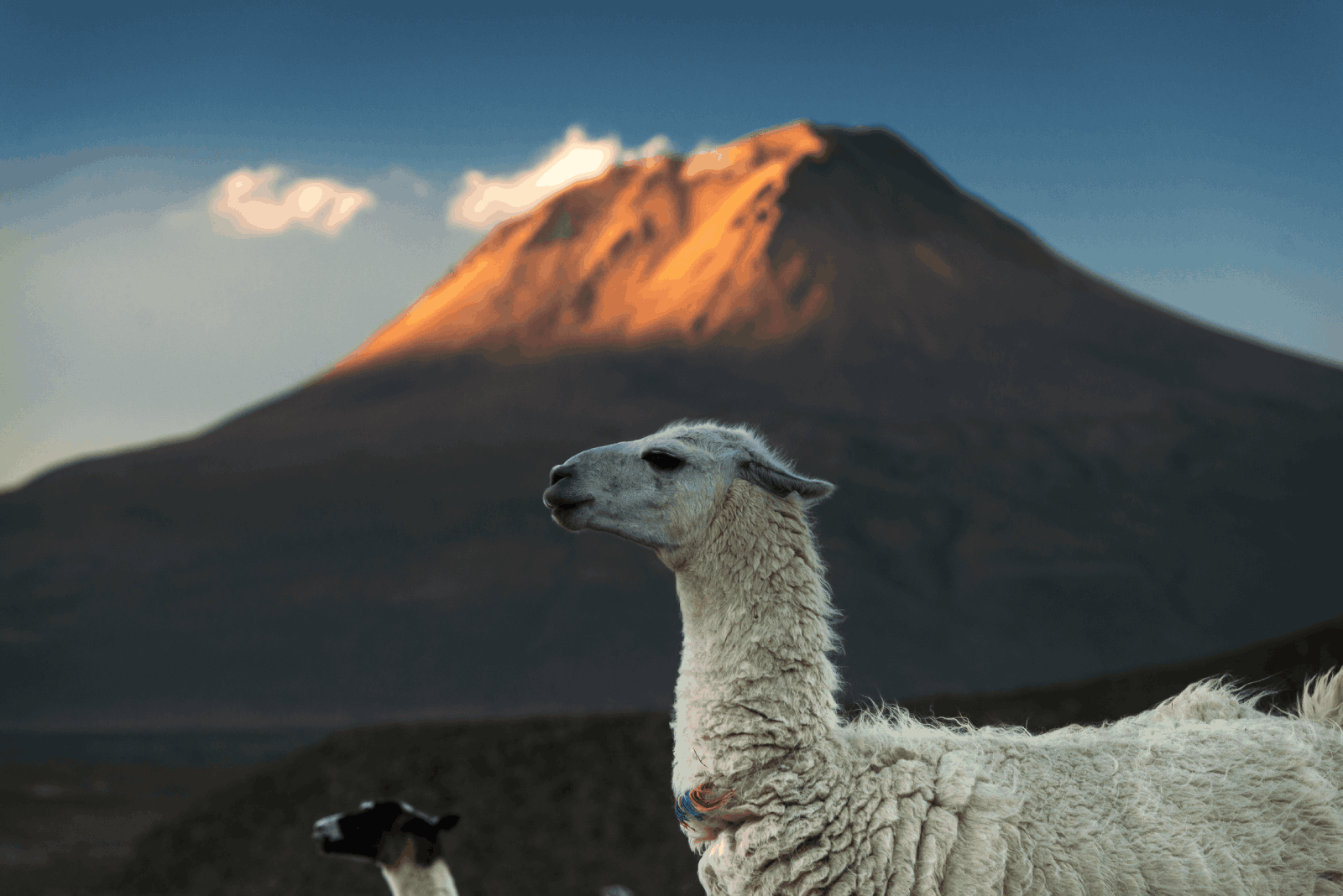 qué hacer Desierto Atacama