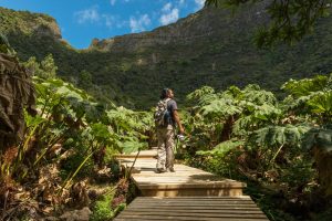 ¿Cómo llegar a Juan Fernández desde Santiago? Descubre este santuario ecológico