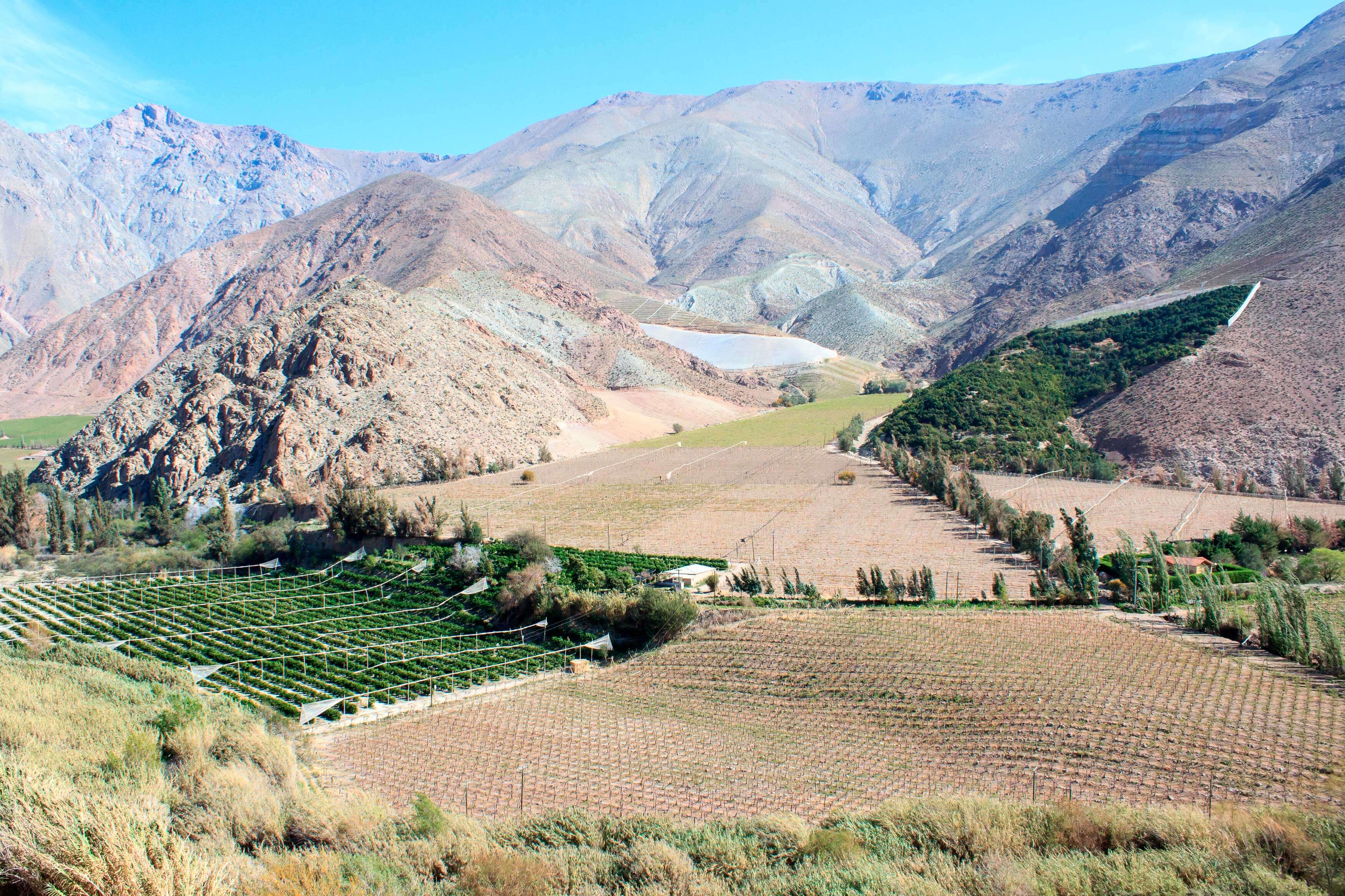 Wine Tours Chile Travel