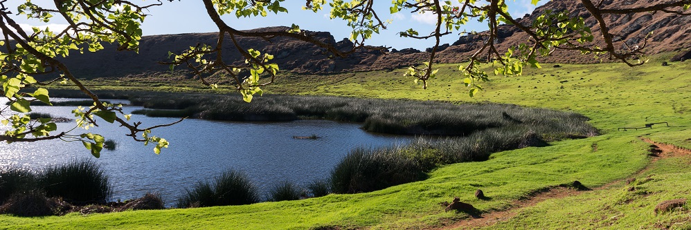 Excursiones en Rapa Nui (Isla de Pascua) en Rano Raraku